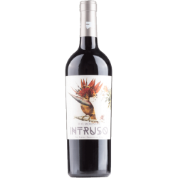INTRUSO RED BLEND 2020