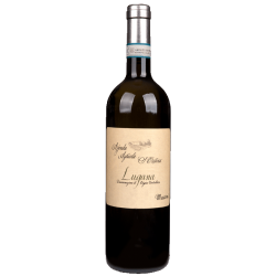 ZENATO S. CHRISTINA LUGANA MASSONI 2021